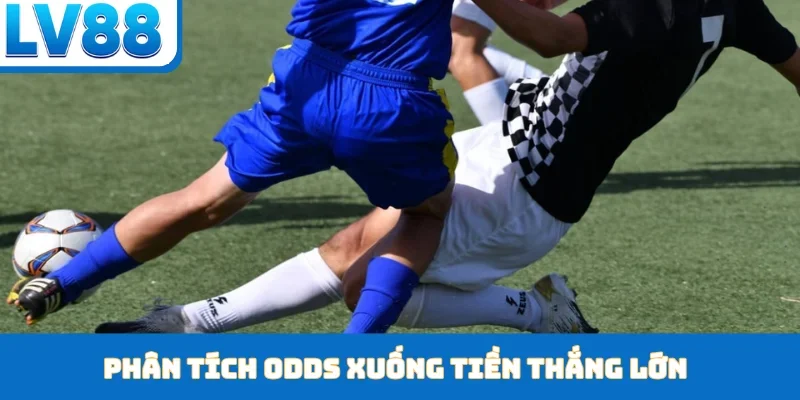 Phân tích odds xuống tiền thắng lớn